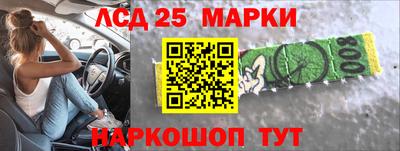 крисы Пенза