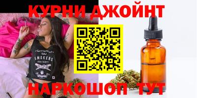крисы Пенза